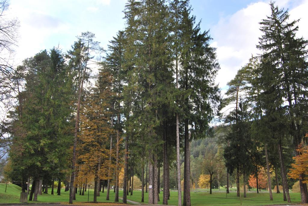 Residenza Finestra Sul Parco Lejlighed Comano Terme Eksteriør billede